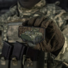 Naszywka BTR-4 PVC  - Color