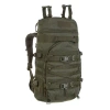55 L \ Olive Green