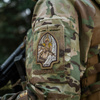 Naszywka Valkyrie (Haftowana)  - Coyote