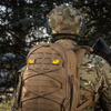 Naszywka Tiger Eyes Laser Cut (para)  - Coyote/Yellow