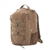 Coyote Brown