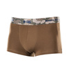 Coyote Brown
