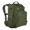 35 L \ Oliwka Zielona