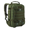 30 L \ Oliwka Zielona