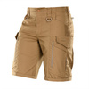 Coyote Brown