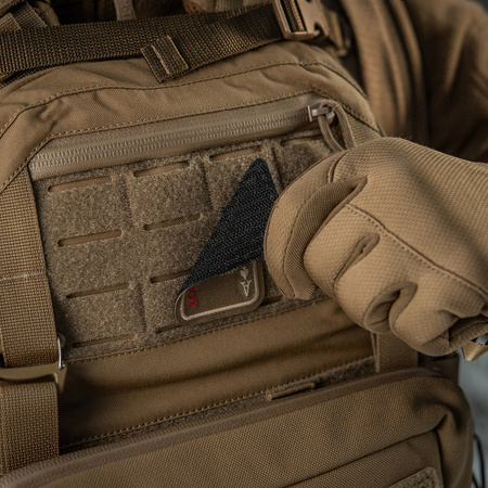 Naszywka Bad Boy (embroidery)  - Coyote