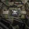 Naszywka Jolly Roger PVC  - Olive/Black