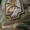 Naszywka Valkyrie (Haftowana)  - Coyote