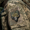 Naszywka Światosław PVC  - Olive